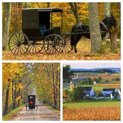 Amish Bottom Left Holmes County Trail Ohio Holmes County Native