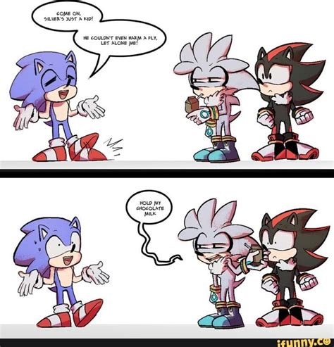 sonic and shadow talking to each other in the same comic strip with caption that reads