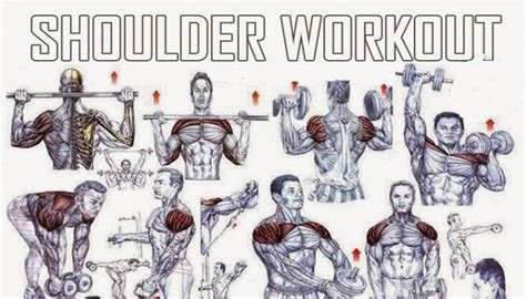 The Best Shoulder Exercises For Mass Fitness Workouts And Exercises