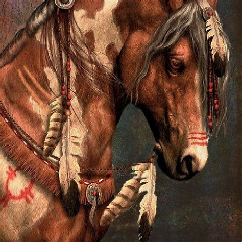 Pin By Christie Messer On Horses In 2021 American Paint Horse Native