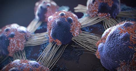 Cancer is a group of. Epigenetics: Asking cancer the right question | Pursuit by ...