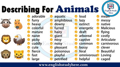 Describing For Animals English Study Here