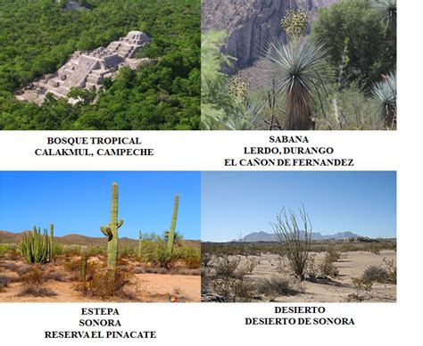 Regiones Naturales De México