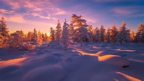 Winter Landscape With Forest Clouds Snow Trees Yakutia Russia