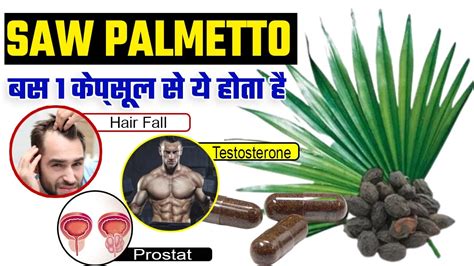 Saw Palmetto Ke Fayde Saw Palmetto Benefits In Hindi Youtube