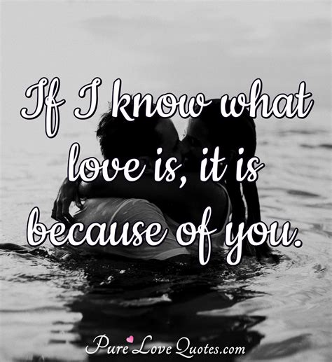 If I Know What Love Is It Is Because Of You Purelovequotes