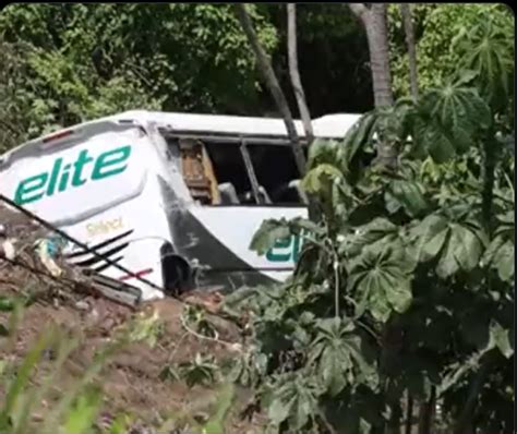 Bus With 6 Indians Onboard Plunges Into Ravine In Mexico Indiawest Journal News
