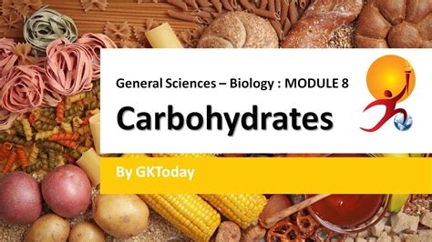 Biology 8 Carbohydrates Youtube