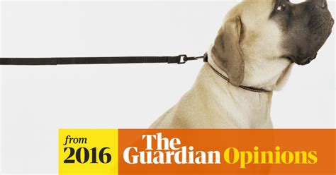 My Rescue Dog Is Saving My Life Life And Style The Guardian