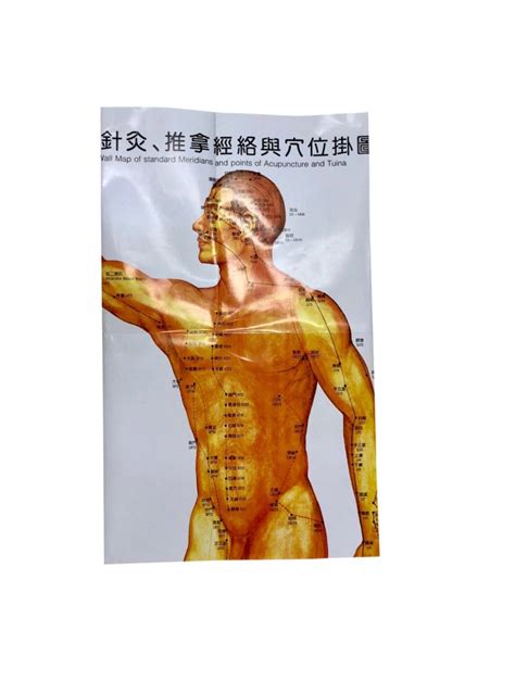 Zhen Jiu Xue Wei Gua Tu 针灸穴位挂图 Acupuncture Wall Chart Set 3 Charts