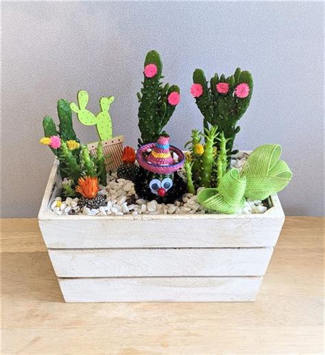 Cacti Planter