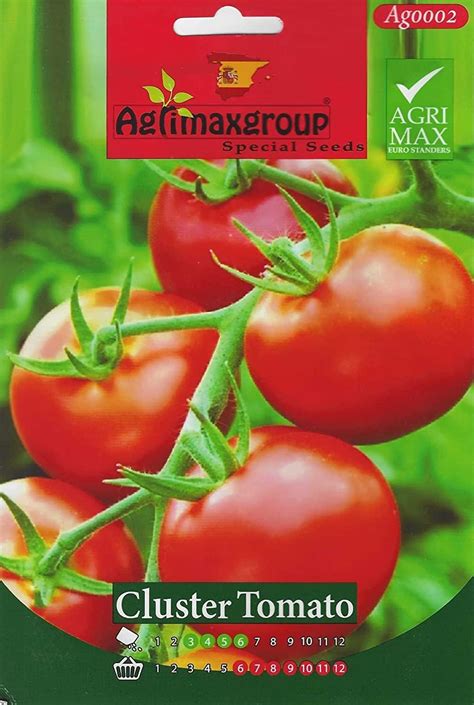 Tomato Premium Quality Seeds Agrimax Spain By Dxb Garden Cluster