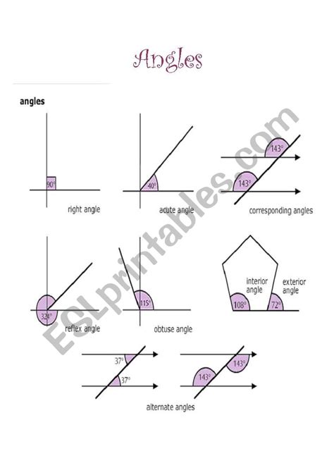 Angles Vocabulary Worksheet