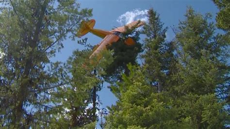 Small Plane Crash Lands On Top Of Idaho Tree Pilot Rescued Youtube
