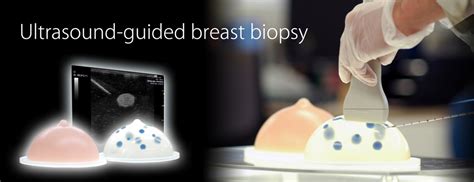 Us 9 Ultrasound Guided Breast Biopsy Phantom Pt Java Medika Utama