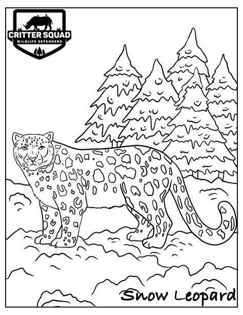 ️coloring Pages Of Snow Leopards Free Download