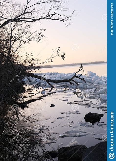 Blocks Of Ice Near The River Bank Ice Drift Of Ice Floes On Rivers And