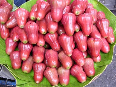 The spanish traders and others brought it to asia where its old mexican name ate may still be found in bengali ata, nepalese aati, sinhalese katu atha. Malay apple on fruits market - World Crops Database