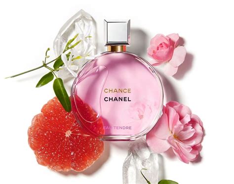 Best Chanel Perfumes In 2020 Sabi Shop Reviews