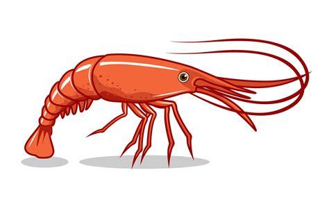 Shrimp Illustrations Prawn Cartoon 3442630 Vector Art At Vecteezy