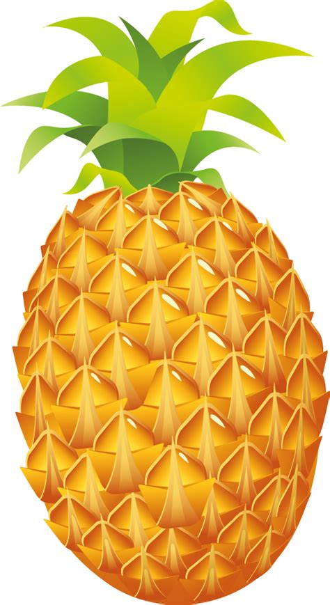 Free Pineapple Clipart Download Free Pineapple Clipart Png Images