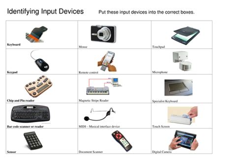 Identifying Input Devices Teaching Resources