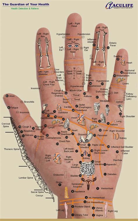 Reflexology In Hands Chart