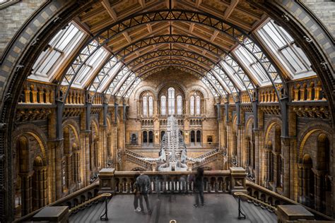 The Monumental Interior Of The National History Museum In London