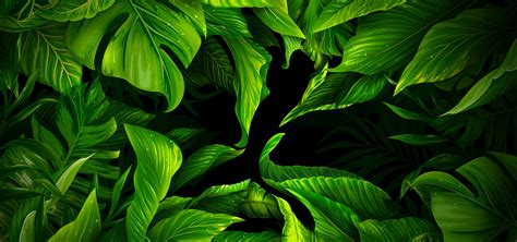Jungle Background Jungle Green Poster Background Image For Free Download