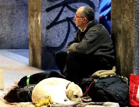 Scheme Launched To Help The Homeless And Their Pets Dogs Today Magazine