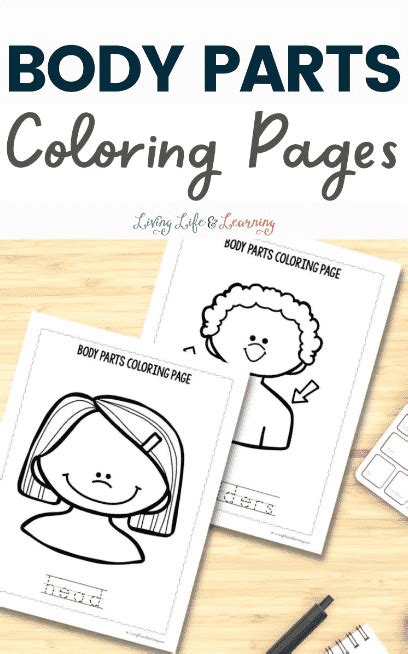Body Parts Coloring Pages Free Homeschool Deals