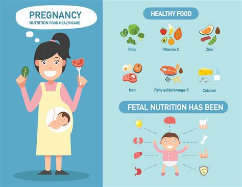Pregnancy Nutrition Food Healthcare Infographics Illustration