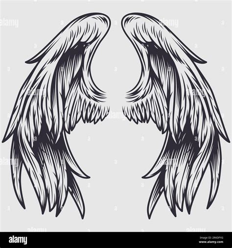 Angel Wings Vector Stock Vector Image And Art Alamy