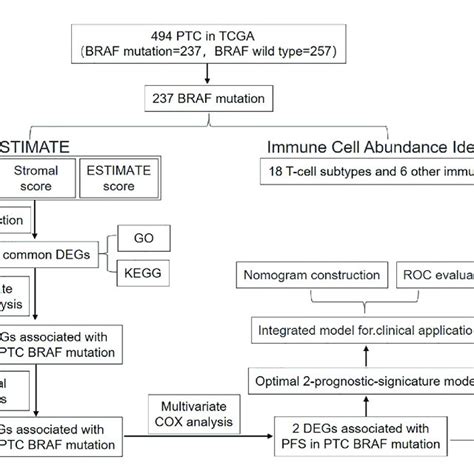 The Ultrasound Features For Delphian Lymph Node Metastasis