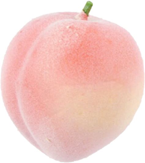 Download Peach Peachaesthetic Pink Pinkaesthetic Png Peach