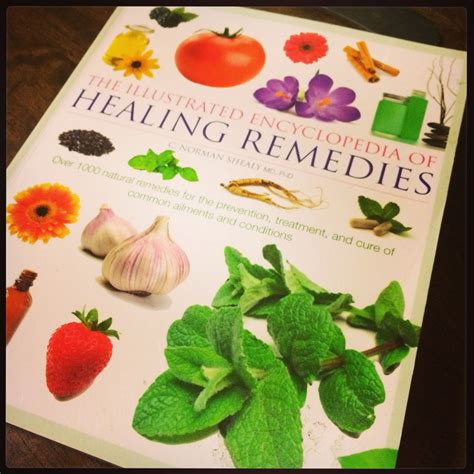 Natural Remedies Book By Jordan Read Natures Medicine The Everyday