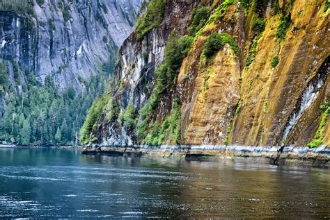 Tongass National Forest