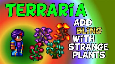 Terraria 14 Farm Strange Plants For Exotic Dyes Switch Ps4 Xbox Pc Youtube