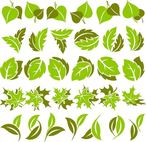 Leaves Icons Collection Green Shapes Sketch Vectors Graphic Art Designs