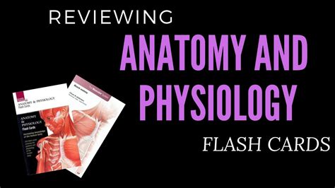 Reviewing Anatomy And Physiology Flash Cards Youtube