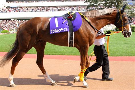 May 31, 2020 · 競馬界には、個性ある名前を持つ競走馬が少なくありません。成績より先に名前に目がいってしまうことも。そこで今回は、思わず二度見してしまうクセの強すぎる競走馬の名前について探ってみました。 【競馬】世にも珍しい尾花栗毛を持つ美しい競走馬たち | ウマ ...