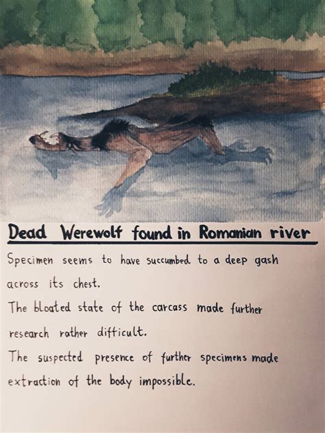 Dead Werewolf By Crypticmessenger On Deviantart