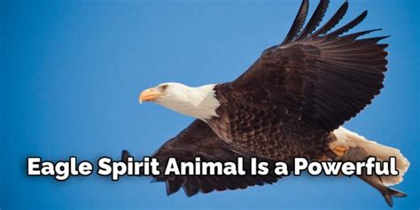 Eagle Spiritual Meaning Symbolism And Totem Explained