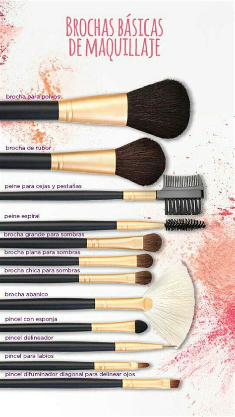 Te Damos Una Guía Rápida De Las Brochas Para Aplicar Maquillaje Y Para
