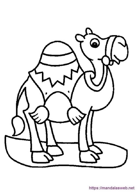 36 Dibujos De Camellos Para Colorear E Imprimir 🥇