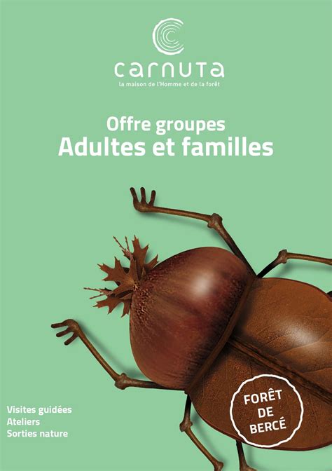 Calaméo Brochures Adultes Et Familles 2023 2024