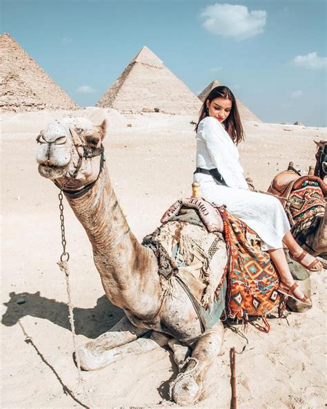 Pinterest Diana Alekseyenko naturephotography Верблюды Туризм Египет