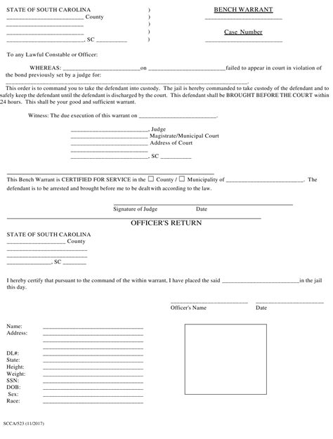 Form Scca523 Fill Out Sign Online And Download Printable Pdf South