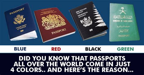 Here are the basics and most common strategies, along with tips on how to navigate the wheel to get the perfect paint job. This Is Why Passports Of All The Countries In The World ...