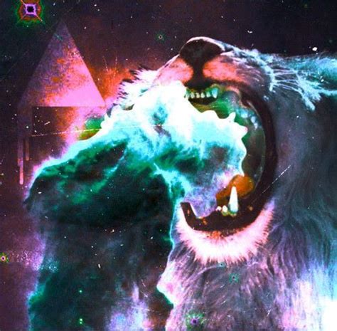 Hang 'em on walls, drape them on beds, divide a room, hide your secret stuff. Galaxy trippy lion | Psychedelic image, Trippy, Indie art